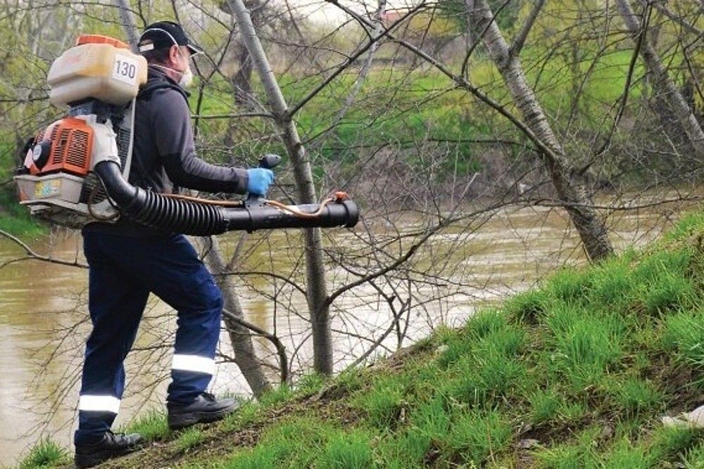 Újabb szúnyoggyérítési akció Szatmárnémetiben