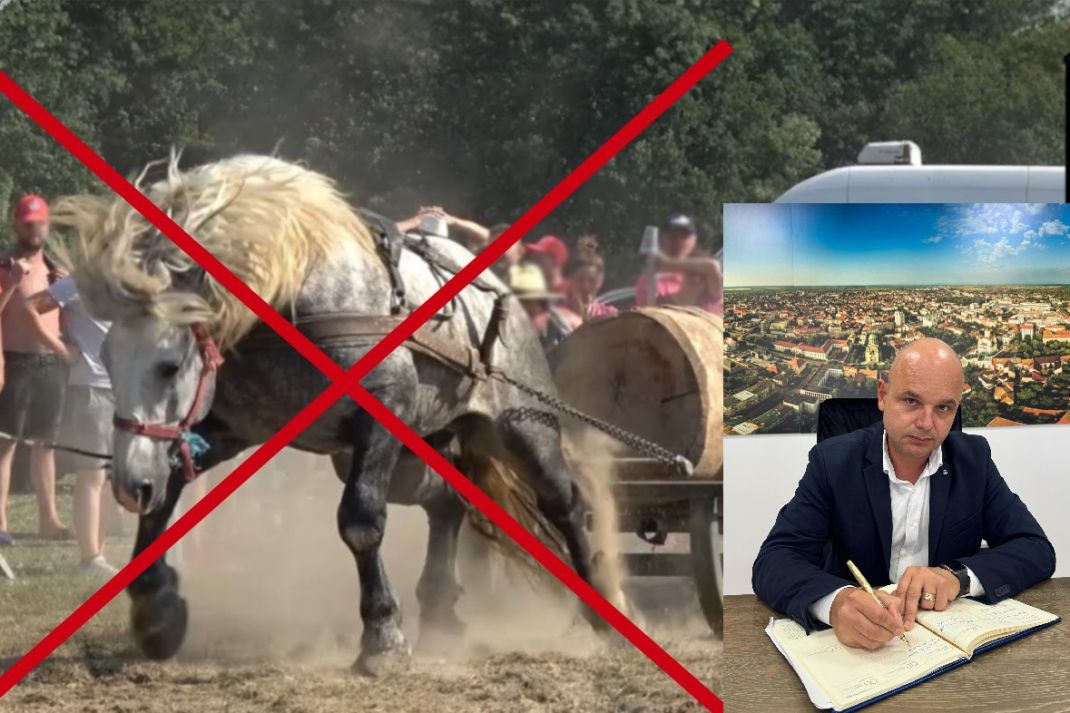 Döntés született: betiltották a teherhúzó lovasversenyeket és bemutatókat Szatmár megyében