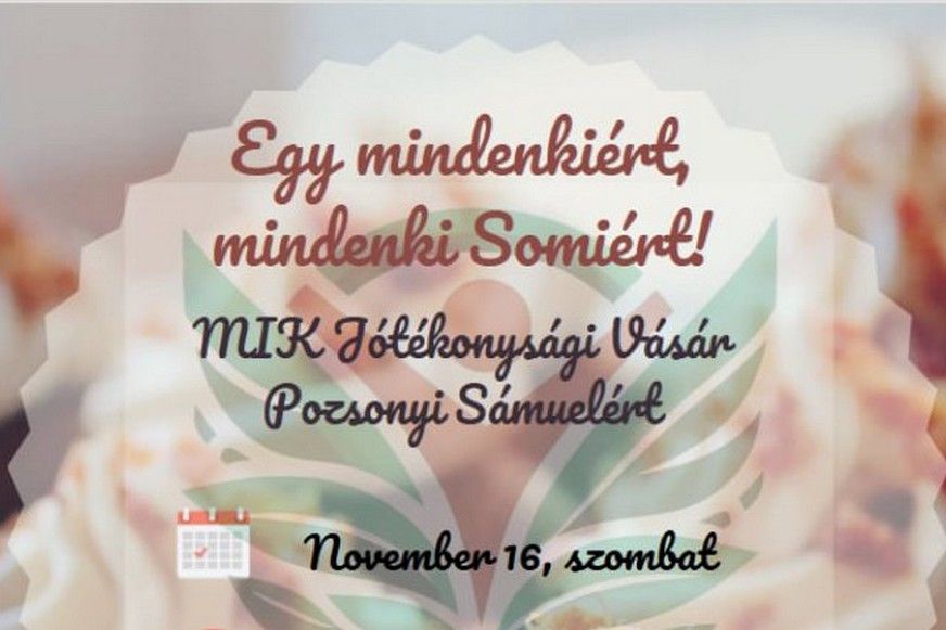 Somi javára szervez jótékonysági vásárt a MIK