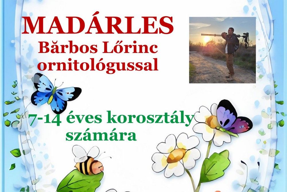 Madárles a Szamos partján: nyári kaland gyerekeknek