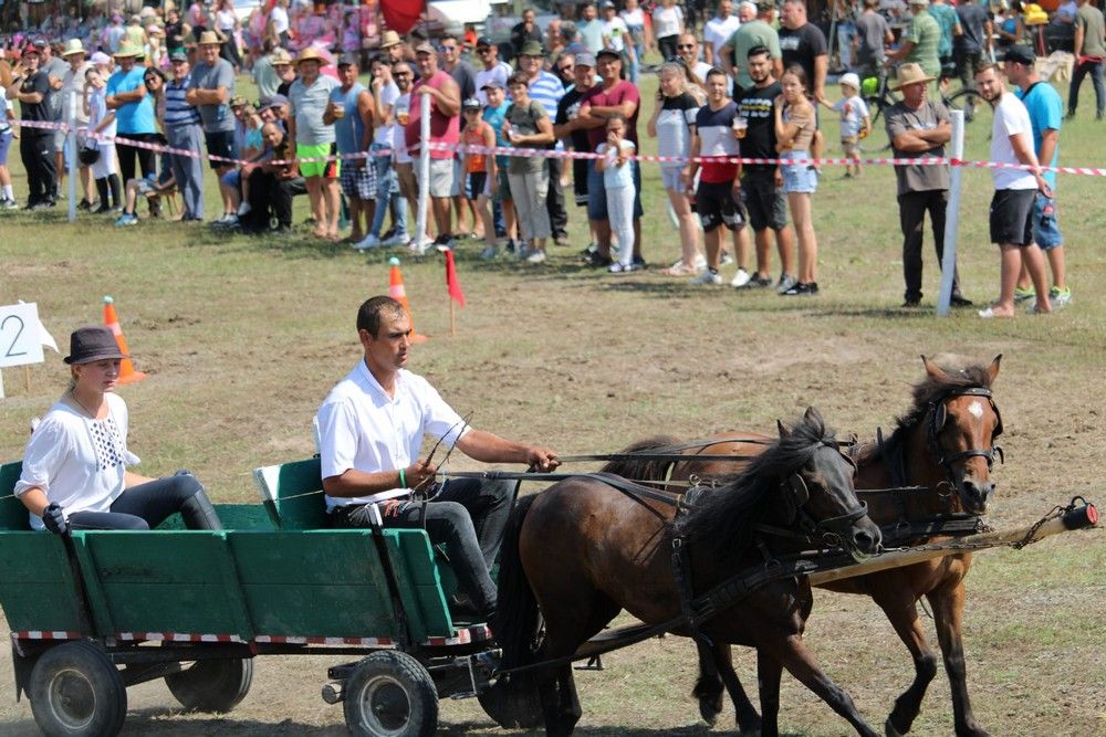 Színvonalas Lovasfesztivált szerveztek első alkalommal Szaniszlón