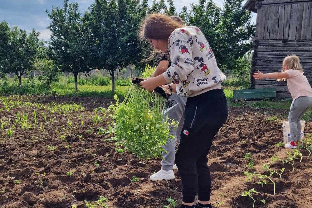 Támogatók is segítették a Kiskertész program sikerét