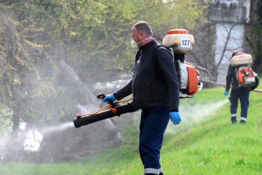Szúnyogirtás Szatmárnémetiben. Mutatjuk, mikor!