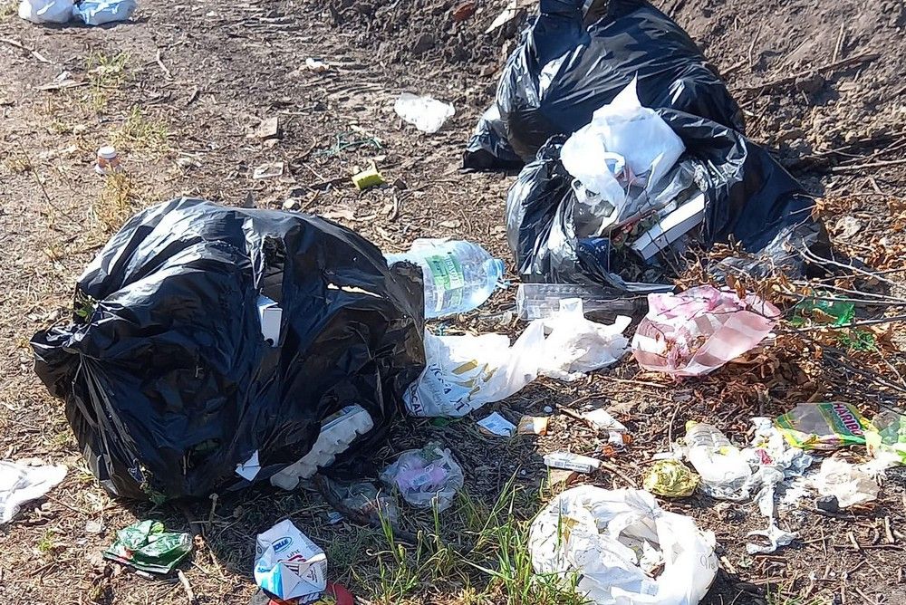Rekordösszegű bírságot szabtak ki egy illegális szemetelőre Szatmár megyében