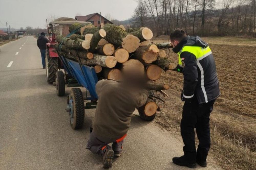 Hatból négy faanyagot szállító tetemes összegű bírságot kapott a rendőröktől. Fatelepen se volt minden rendben