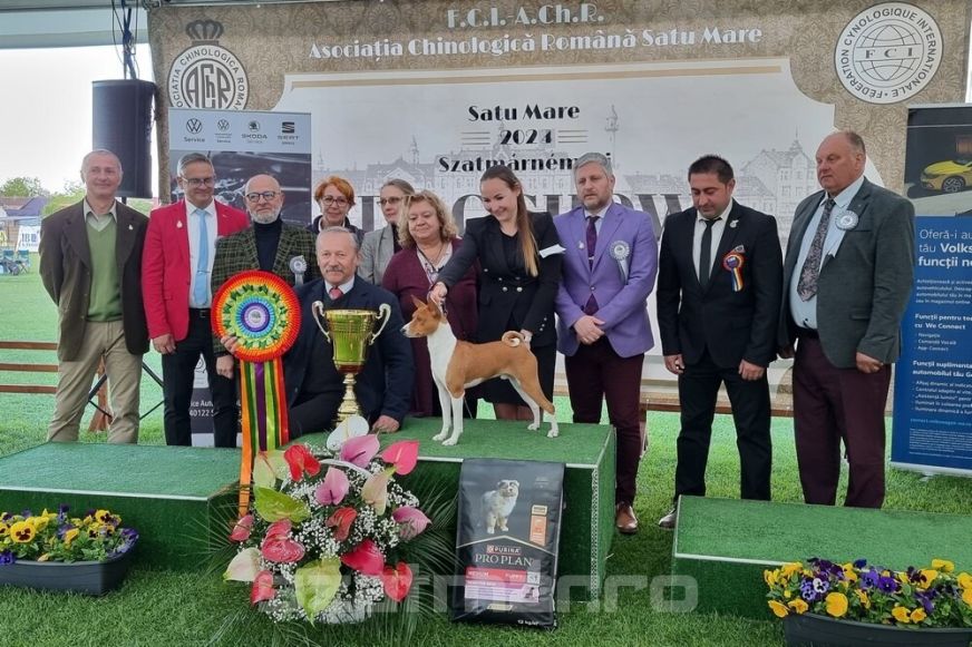Különleges fajtájú kutya lett a szatmárnémeti kutyakiállítás Suprem BIS győztese - KÉPGALÉRIA, VIDEÓ