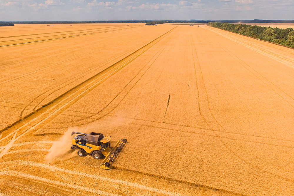 Mezőgazdasági miniszter: Románia az első helyen áll Európában a gabonaexport terén