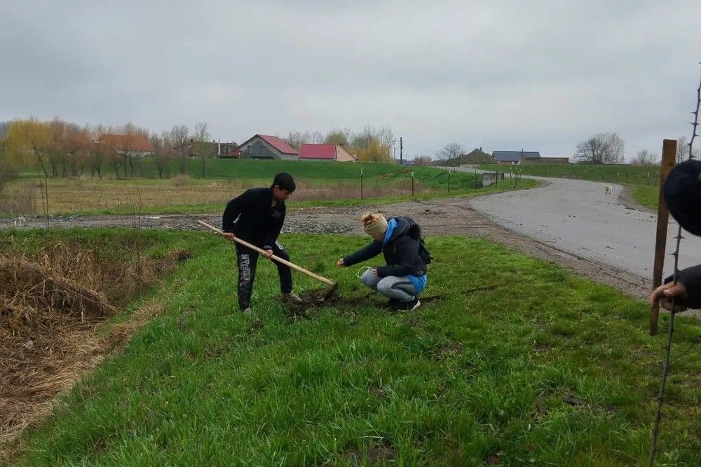 Több mint száz darab fát ültettek el Kaplonyban