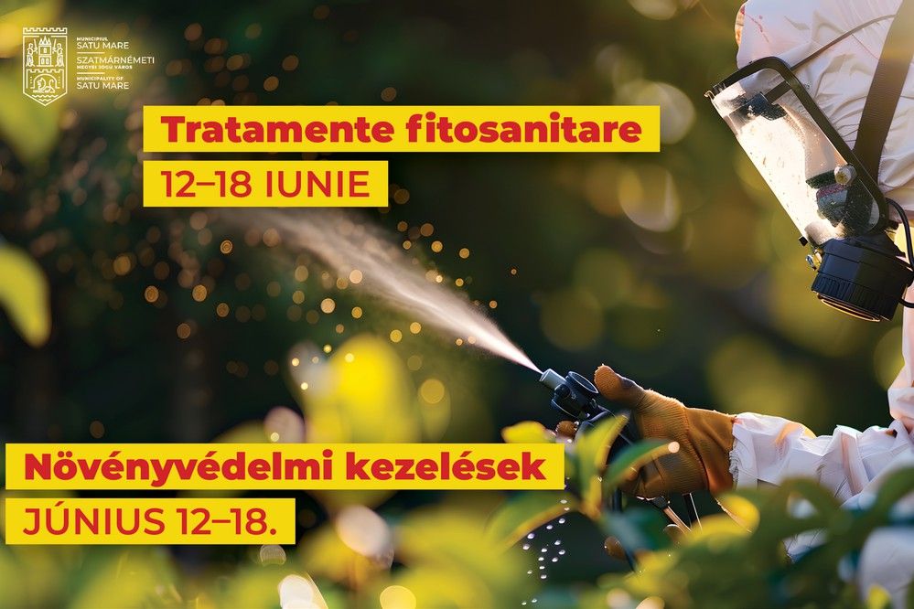 Növényvédelmi kezeléseket végeznek Szatmárnémetiben a közterületeken