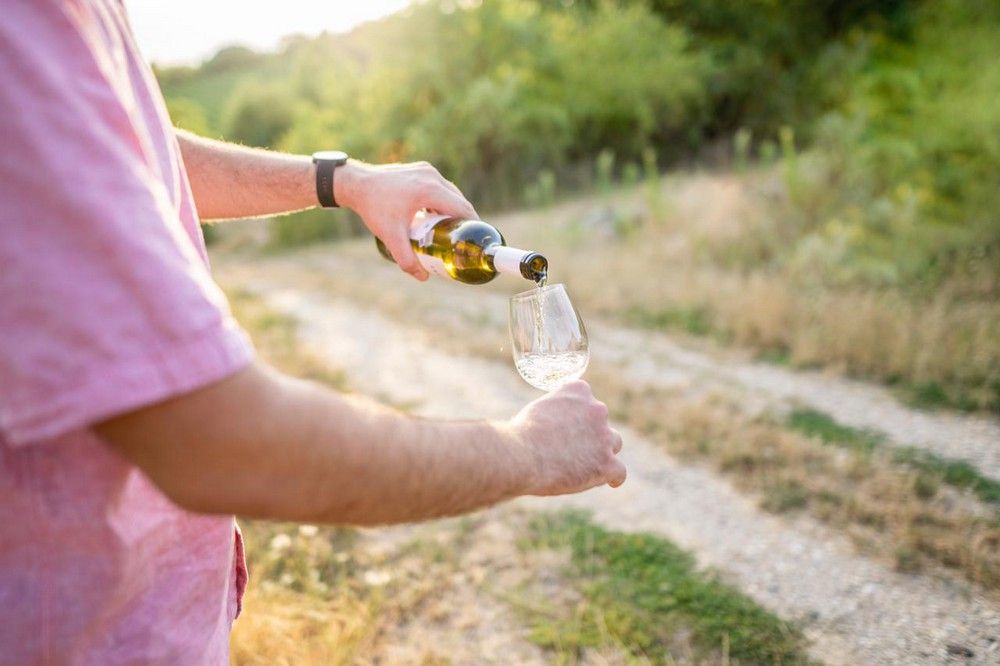 Picnic in the Vineyard - Halmihegy a következő állomás