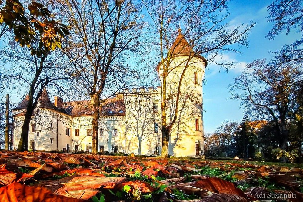 Megújul a Károlyi-kastélyhoz tartozó dendrológiai park arculata