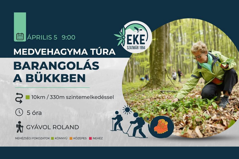 A Bükkbe hív az EKE - A medvehagyma túrára várják az érdeklődőket