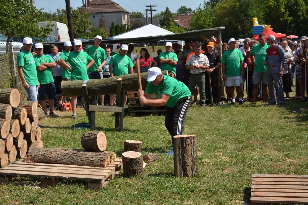 Dónát-napi rendezvény Szatmárhegyen: vetélkedők, favágóverseny és koncertek is lesznek. Mutatjuk a részletes programot!