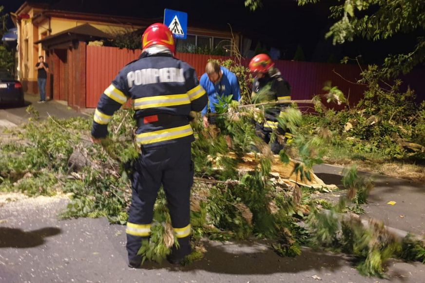 Autókra dőlt egy fa Szatmárnémetiben