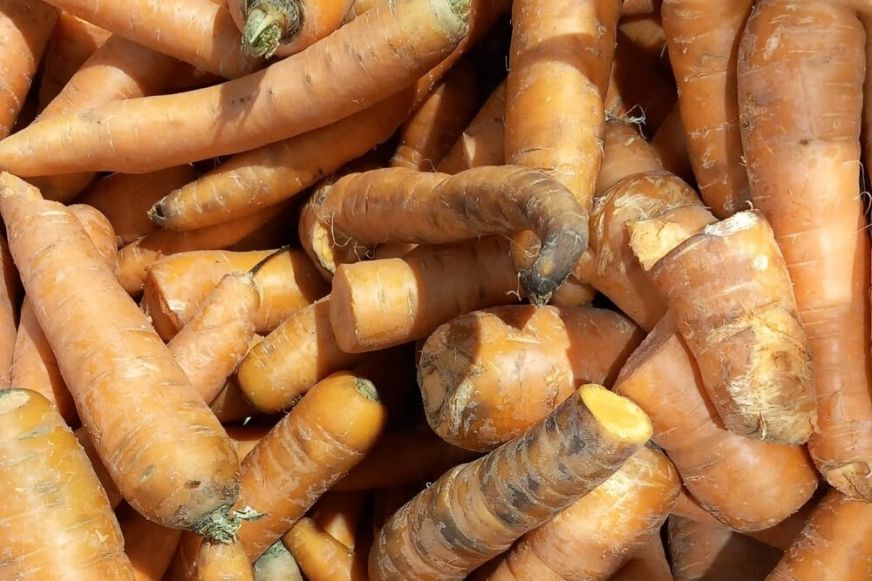 Az Auchan és Peny üzleteit is megbüntették a fogyasztóvédelmi felügyelők - Videó