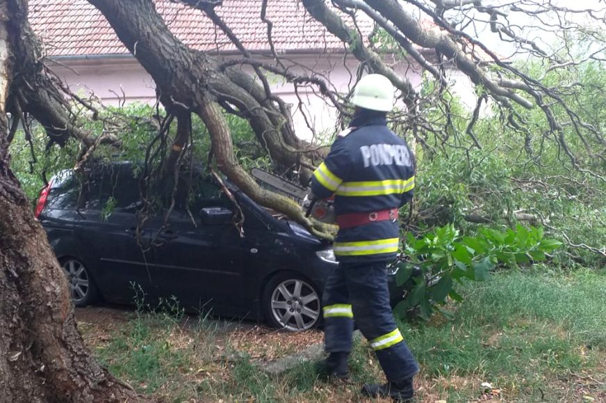 Autókra dőlt a fa Nagykárolyban - VIDEÓ