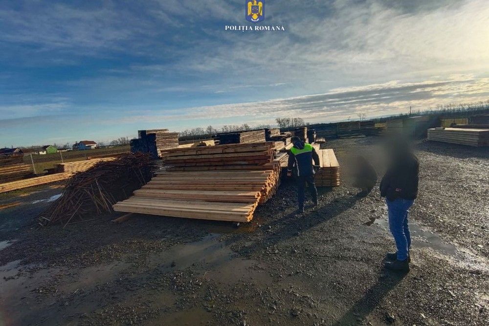 Illegális fakitermelőkre vadásztak a Szatmár megyei rendőrök. A bírságok sem maradtak el