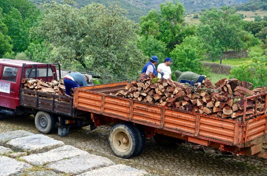 Négy év alatt közel 70 emberéletet követeltek az erdészeti ágazatban történt munkabalesetek