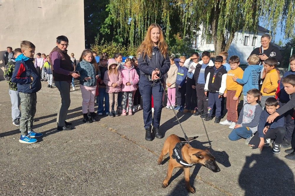 Zeus és Ash volt a nap sztárja: gyerekek között ünnepelt a két négylábú kopó
