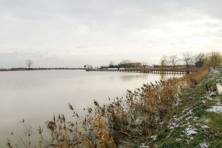 Ma van a vizes élőhelyek világnapja
