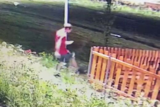 Azonosították a fiatalt, aki szándékosan rongált a Kubik-parkban - VIDEÓ