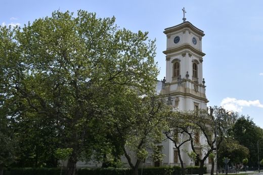 A Piarista Nővérek rendalapítójának, Boldog Celestina Donatinak ünnepe a jubileumi szentév alkalmából