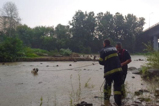 Hétfő esti vihar: kutyát mentettek ki a Szamosból a szatmári tűzoltók – KÉPEK