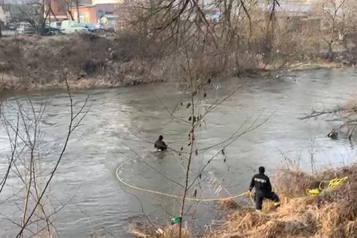 Kolozsvár: Szamosba esett nőt próbálnak kimenteni a tűzoltók