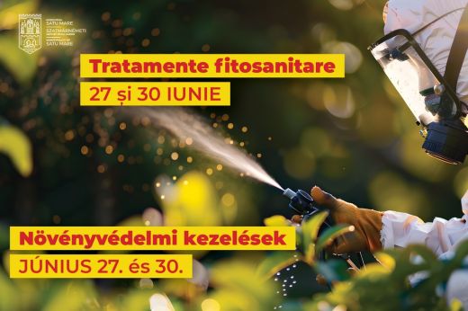 Növényvédelmi kezeléseket végeznek Szatmárnémetiben a közterületeken