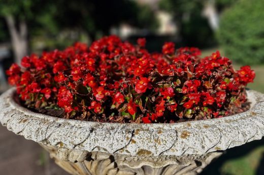 Érkezik a legújabb helyismereti kvíz! Sikerül hibátlanul megoldani?