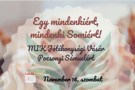 Somi javára szervez jótékonysági vásárt a MIK