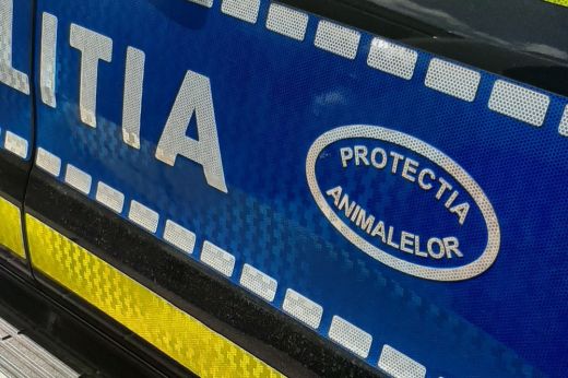 Vasököllel sújtott le a hatóság: 12.000 lejes büntetést szabtak ki egy kutyatulajdonosra