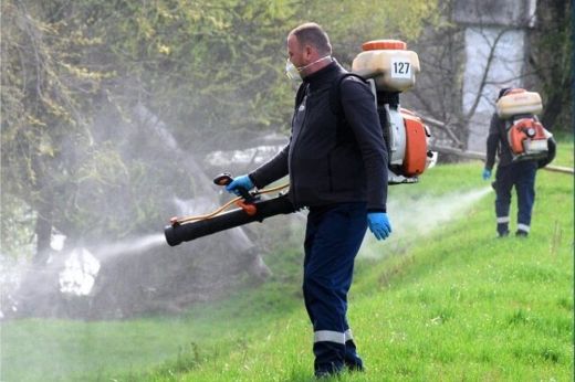 Újabb szúnyoggyérítési akció Szatmárnémetiben