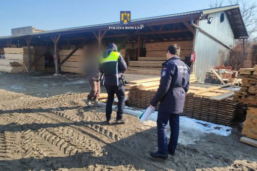 Illegális fakitermelés ellen léptek fel a szatmárnémeti rendőrök