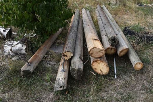 Kell a tüzelő: láncfűrésszel esett neki egy piskolti férfi a póznáknak