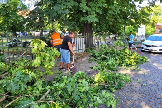 Szatmárnémetiben és Nagykárolyban is zajlik a vihar utáni kárelhárítás