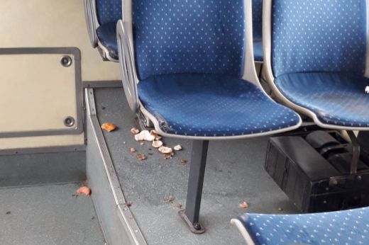Cseresznyemag, narancshéj, szotyi. Elképesztő állapotokat hagy maga után néhány utas a szatmári buszokon