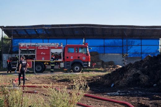 Több tucat tehén pusztult el a tűzben. Már azt is tudni, mi miatt csaptak fel a lángok