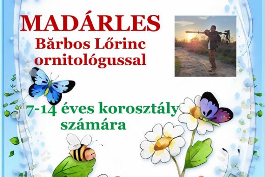 Madárles a Szamos partján: nyári kaland gyerekeknek