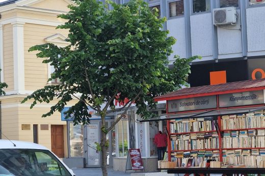 Újabb helyismereti kvízzel teheti próbára tudását. Lássuk, mennyire ismeri Szatmárt!