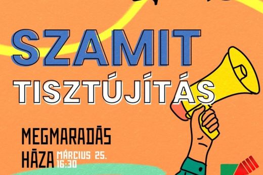 Mozgolódás a Szatmár Megyei Ifjúsági Tanácsnál: Új Vezetőt Választanak!
