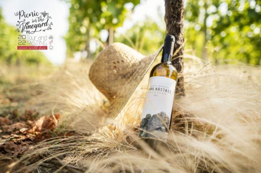  Picnic in the Vineyard: különleges bortúra Halmihegyen
