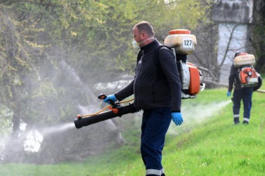 Szúnyogirtás Szatmárnémetiben. Mutatjuk, mikor!