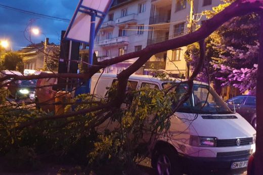 Fákat döntött ki, tetőket rongált meg a péntek éjszakai vihar Szatmár megyében – KÉPEK
