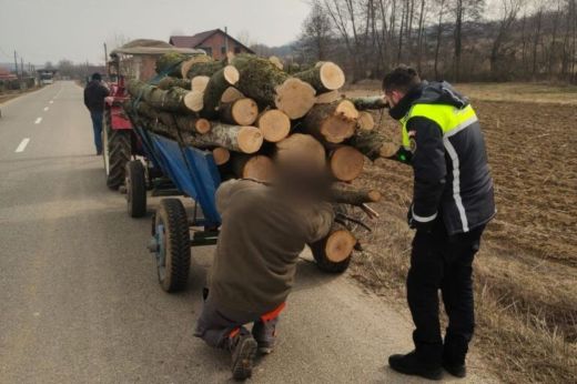 Hatból négy faanyagot szállító tetemes összegű bírságot kapott a rendőröktől. Fatelepen se volt minden rendben