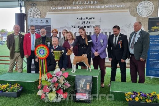 Különleges fajtájú kutya lett a szatmárnémeti kutyakiállítás Suprem BIS győztese - KÉPGALÉRIA, VIDEÓ