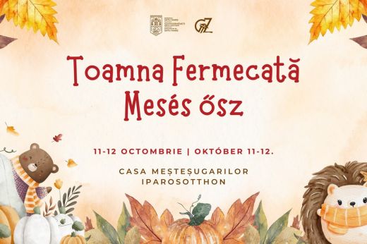 Mesék varázslatos birodalmává változik két napra a szatmári Iparosotthon