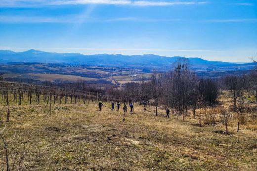 Tavasz a kőszegremetei szőlőhegyen - kisbakancs túrára hív az EKE