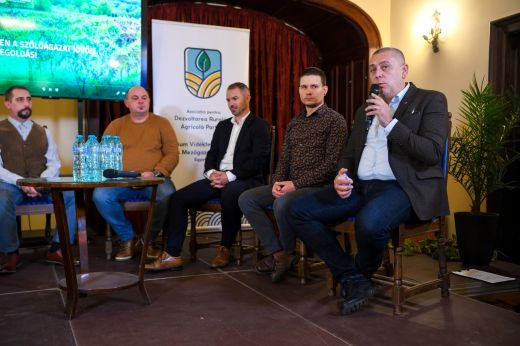 Agrárakadémia: valós veszélyt hordoz a szőlő aranyszínű sárgasága