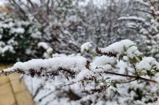Lehűlés, havazás és szél várható vasárnaptól országszerte